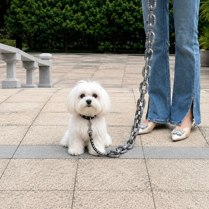 Bigdawg™ Leash - Prank Pet Leash