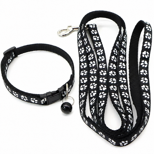 Bigdawgs™ Collar & Extender Leash