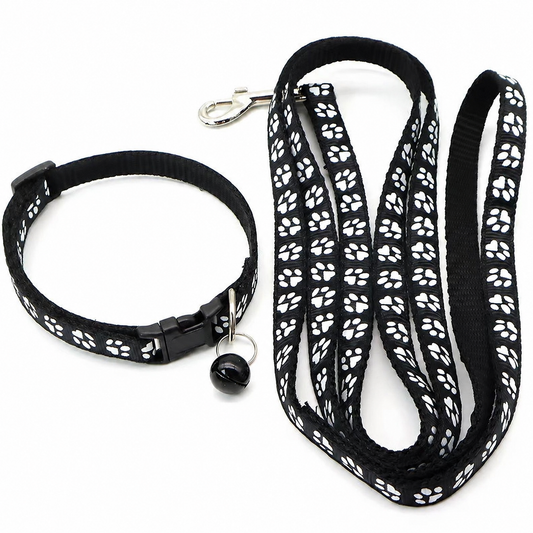 Bigdawgs™ Collar & Extender Leash